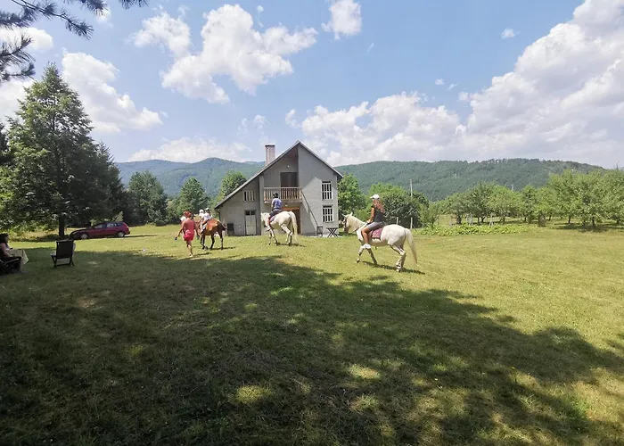 Pine Corner Mojkovac
