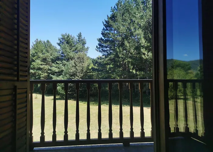 Pine Corner Mojkovac