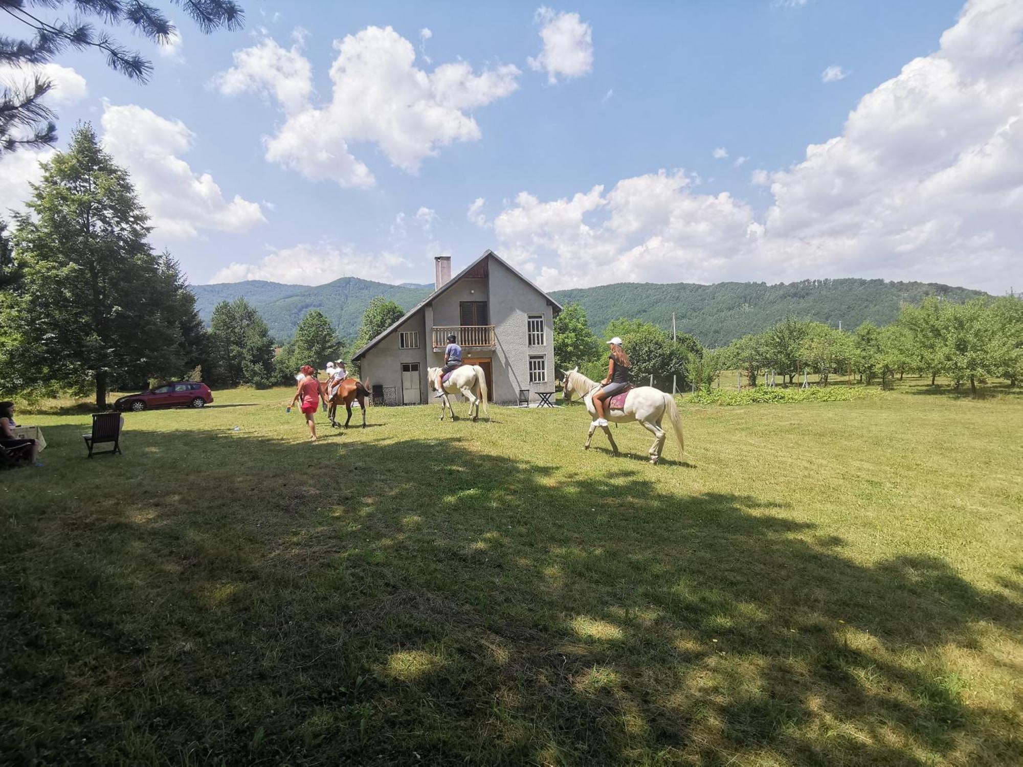 Pine Corner Apartment Mojkovac